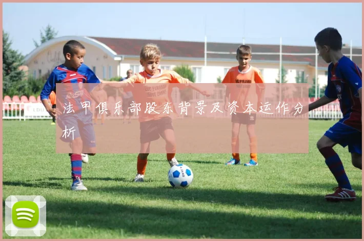 法甲俱乐部股东背景及资本运作分析
