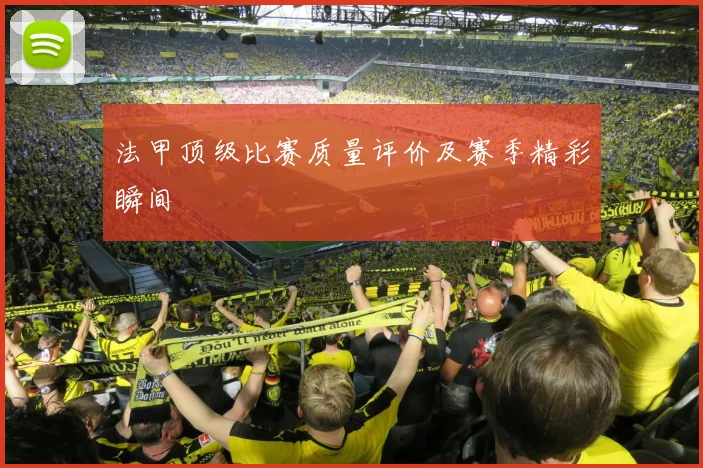 法甲顶级比赛质量评价及赛季精彩瞬间