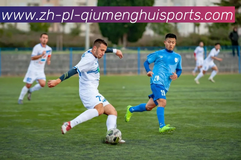 球盟会发展历程